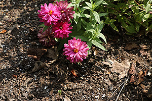 70D Field Test image 21
