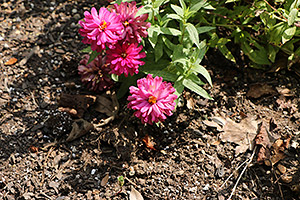 70D Field Test image 22