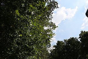 70D Field Test image 24