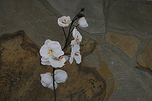 70D Field Test image 27