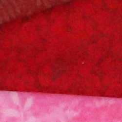 70D Image Quality image 83