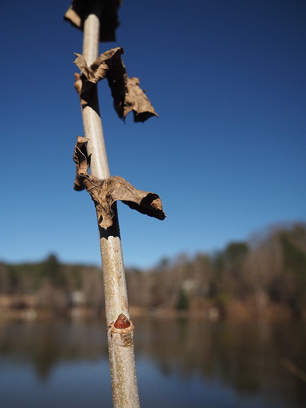 OM-D E-M10 Field Test Part II image 10