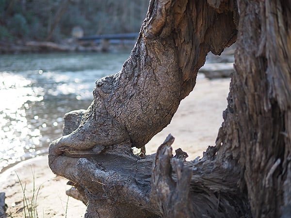 OM-D E-M10 Field Test Part II image 15