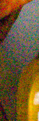 GH4 High ISO Noise Reduction image 69