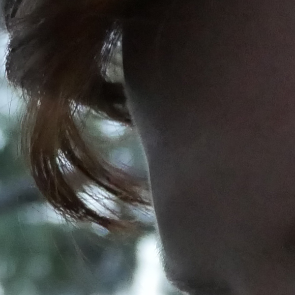 GH4 Field Test Part II image 11