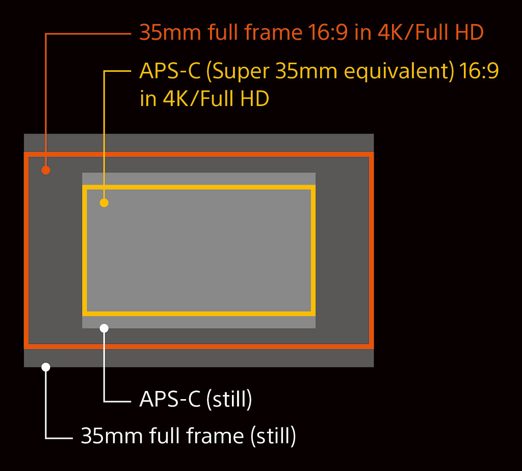 Sony A7S review -- Comparison of the Sony A7S' sensor size