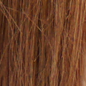 A5100 Exposure image 23