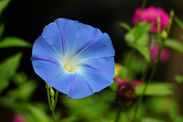 A5100 Field Test Part II image 12