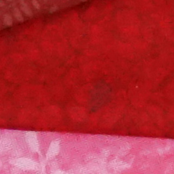 A5100 Image Quality image 35