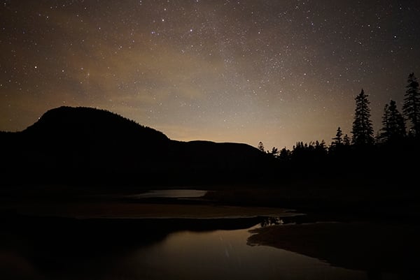 A7S II Field Test image 29