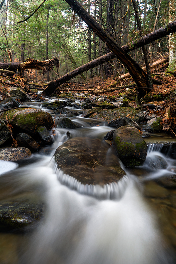 A7S II Field Test image 38