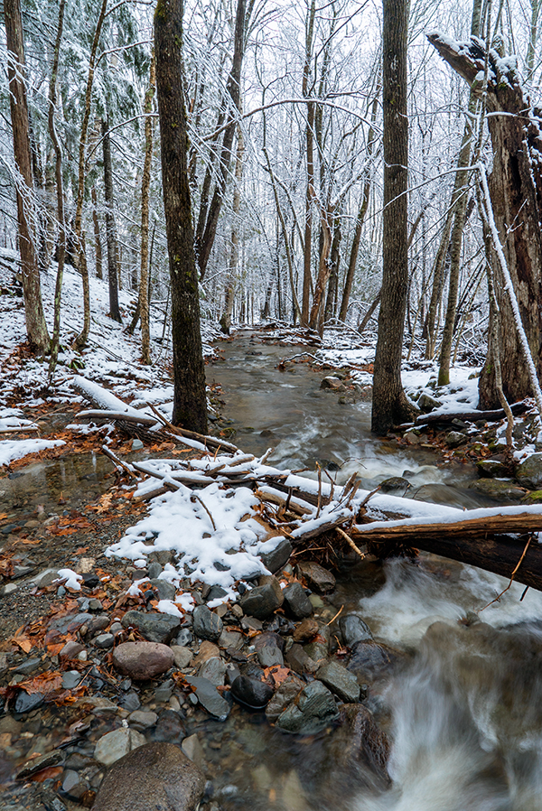 A7S II Conclusion image 1