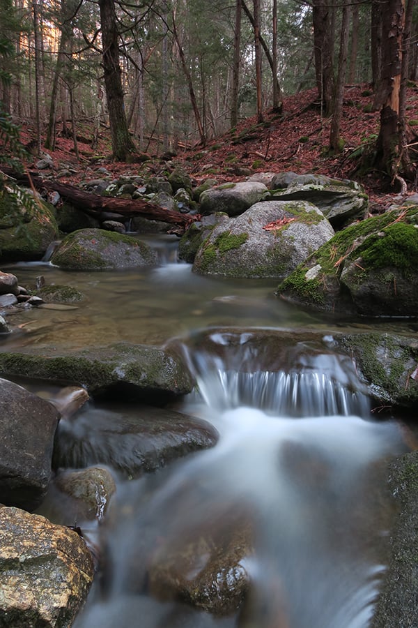 Canon PowerShot G5 X Field Test image 17