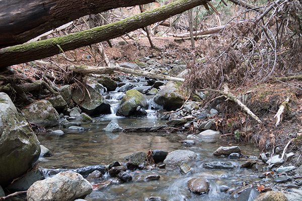 Canon PowerShot G5 X Field Test image 22