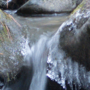 Canon PowerShot G5 X Field Test image 23