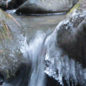 Canon PowerShot G5 X Field Test image 24