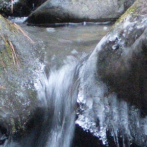 Canon PowerShot G5 X Field Test image 25