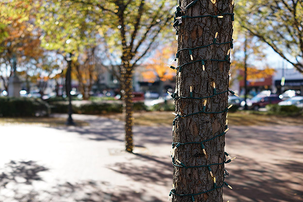 Sony Cyber-shot DSC-RX1R II Field Test Part II image 1