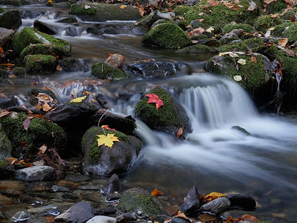 GX8 Conclusion image 2
