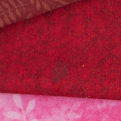 D5 Exposure image 21