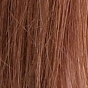 D5 Exposure image 24