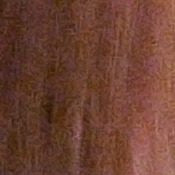 D5 Exposure image 33