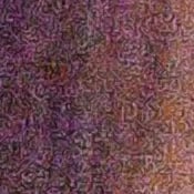 D5 Exposure image 35