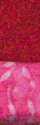 D5 High ISO Noise Reduction image 93