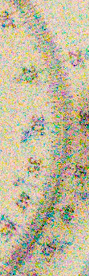 D5 High ISO Noise Reduction image 117