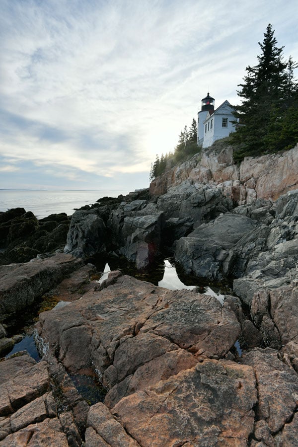 D5 Field Test Part III image 14