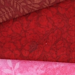 D5 Image Quality image 6