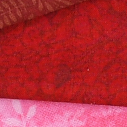 D5 Image Quality image 18