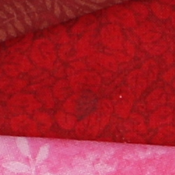 D5 Image Quality image 24