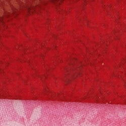 D5 Image Quality image 30