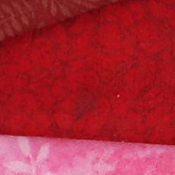 D5 Image Quality image 42