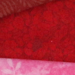 D5 Image Quality image 54
