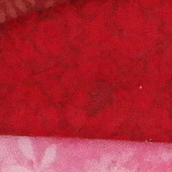 D5 Image Quality image 60