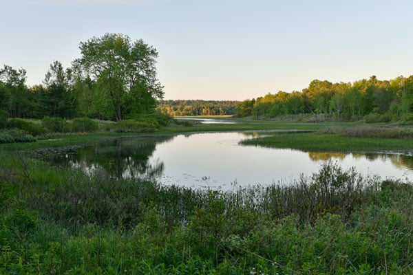 D500 Field Test image 11