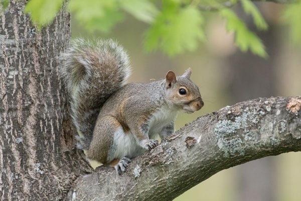 D500 Field Test image 19
