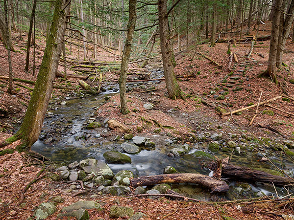 Phase One IQ4 150MP Review: Field Test -- Gallery Image