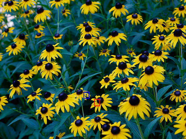 Phase One XF 100MP Field Test Part II image 9