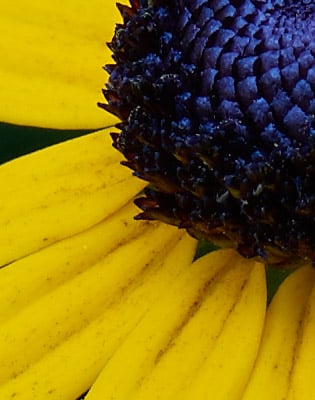 Phase One XF 100MP Field Test Part II image 11