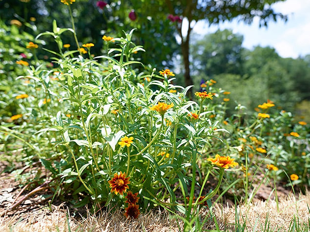 Phase One XF 100MP Field Test Part II image 21