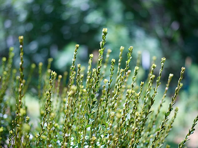 Phase One XF 100MP Field Test Part II image 22