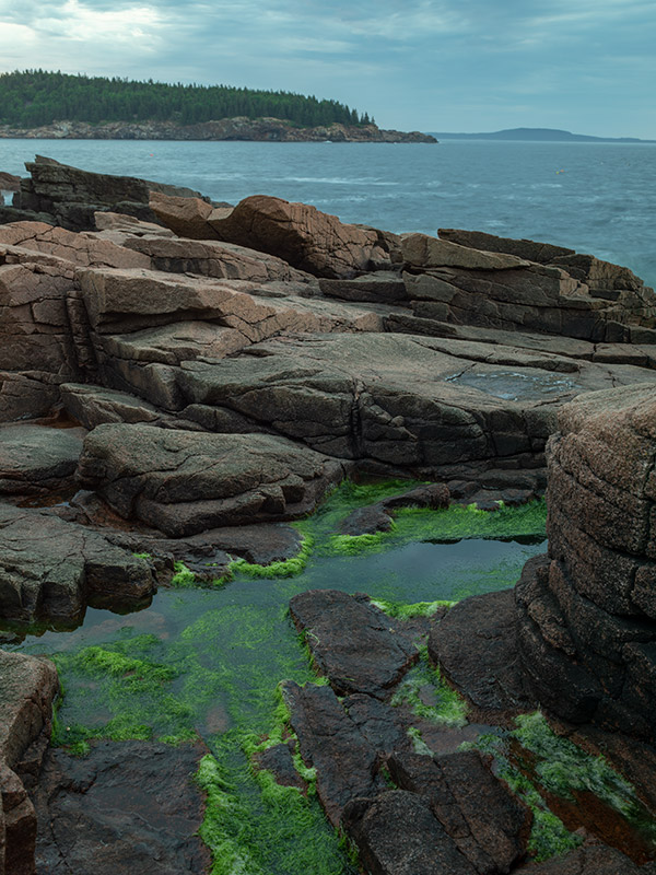 Phase One XF 100MP Field Test Part III image 2