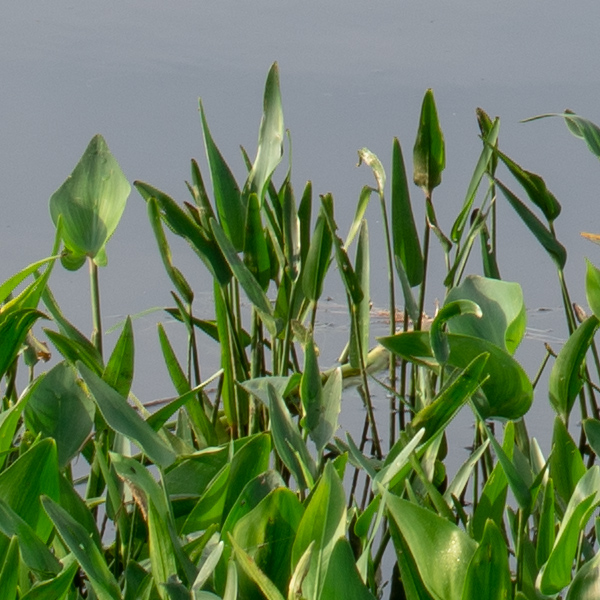 Phase One XF 100MP Field Test Part III image 18