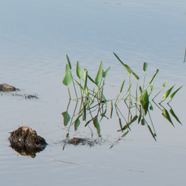 Phase One XF 100MP Field Test Part III image 19