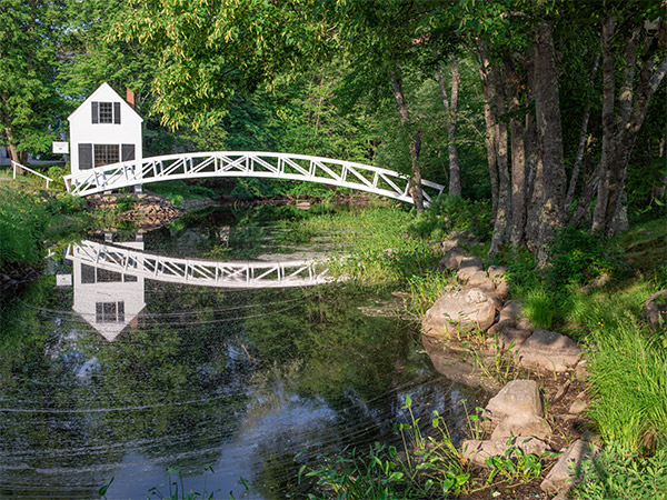 Phase One XF 100MP Field Test Part III image 23