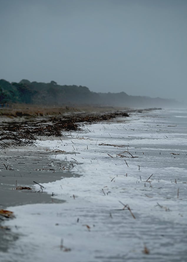 X-T2 Field Test Part II image 1