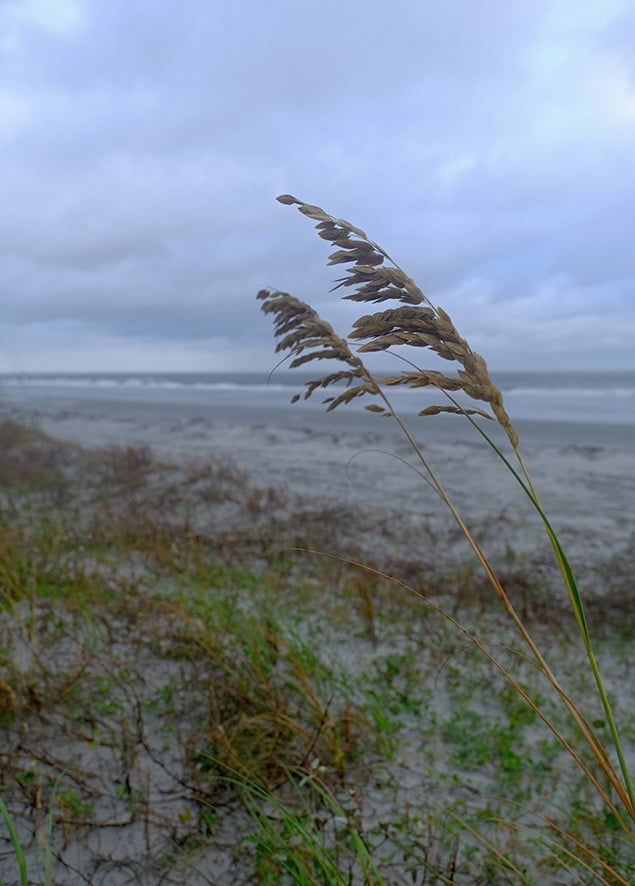 X-T2 Field Test Part II image 6